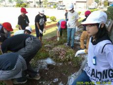 DSCF0006