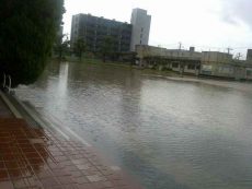 DSCF0004